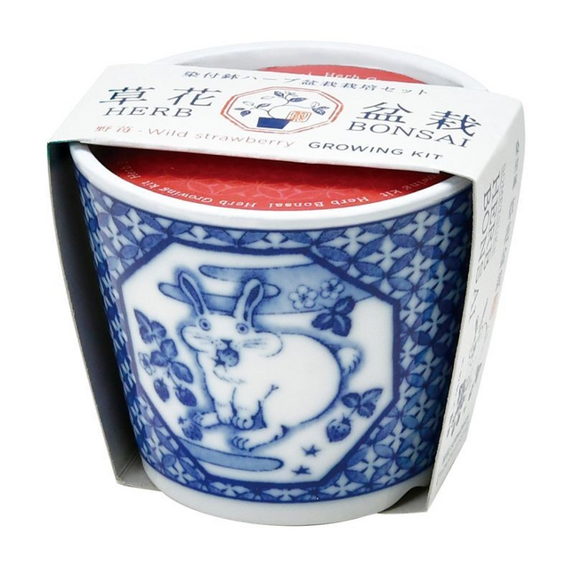 SeiShin GD-102201 Rabbit - W/Strawberry