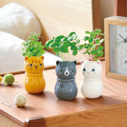 SeiShin GD-102601 Pepper Mint