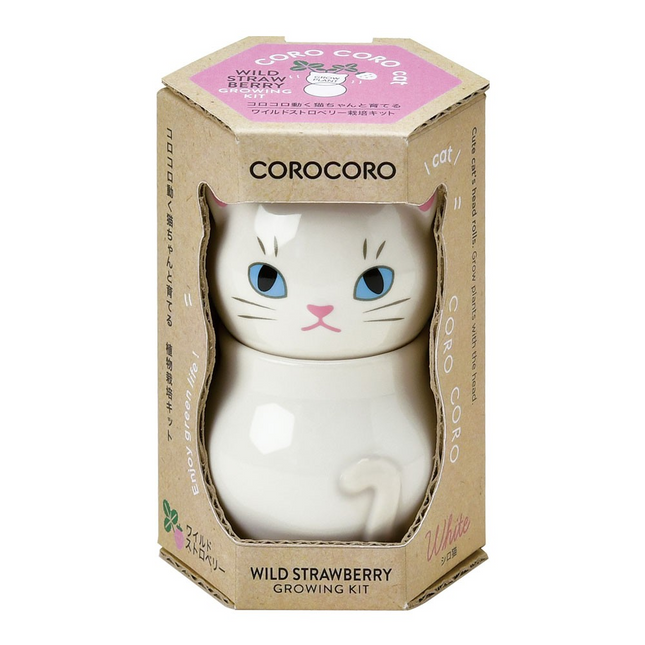 SeiShin GD-102603 Wild Strawberry