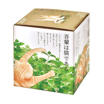 SeiShin GD-1027 Catrnip Growing kit GD-1027
