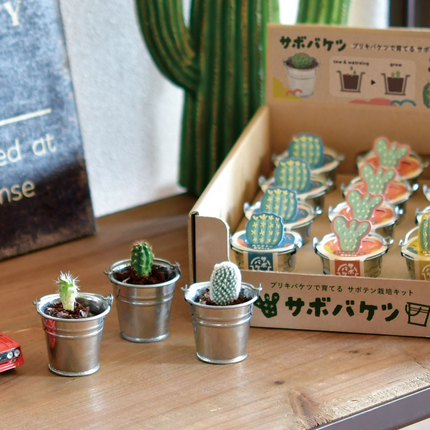 SeiShin GD-1034 Sabo Bucket - CACTUS