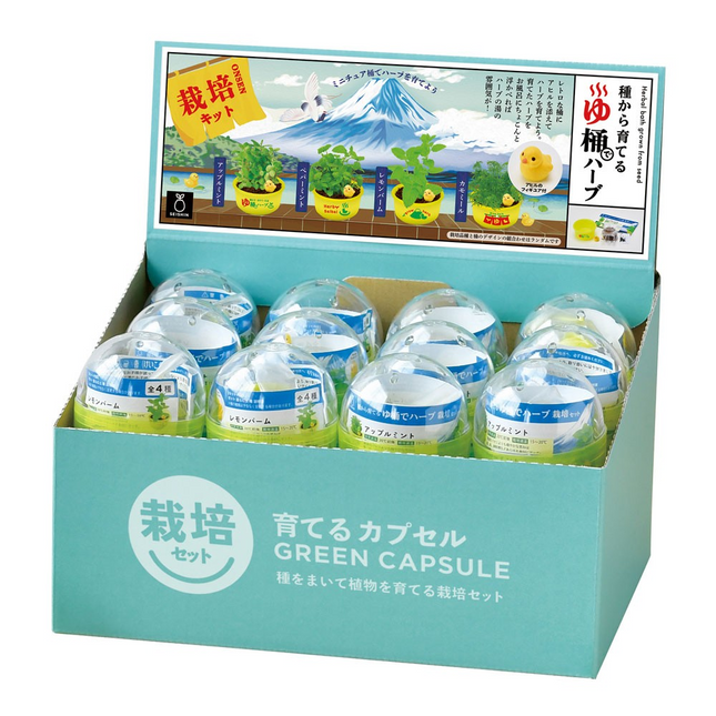 SeiShin GD-1035 Green Capsule - 4 Style
