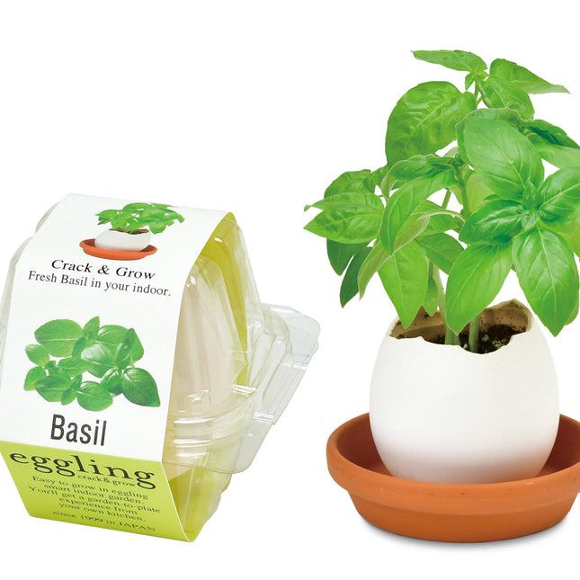 SeiShin EG-57 S/Basil