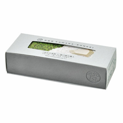 SeiShin GD - 1010 Kawara - bonkei - 裝飾苔蘚花園套件 - BUYFRIENDLY