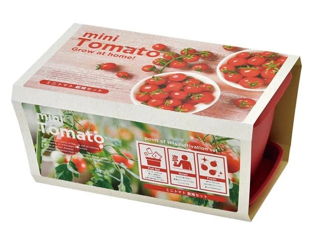 SeiShin GD-93102 TOMATO (SEI80-TOM-93102) - BUYFRIENDLY