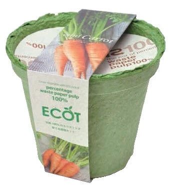 SeiShin GD-411-02 ECOT - Carrot (SEI54-CAR-PLT) - BUYFRIENDLY