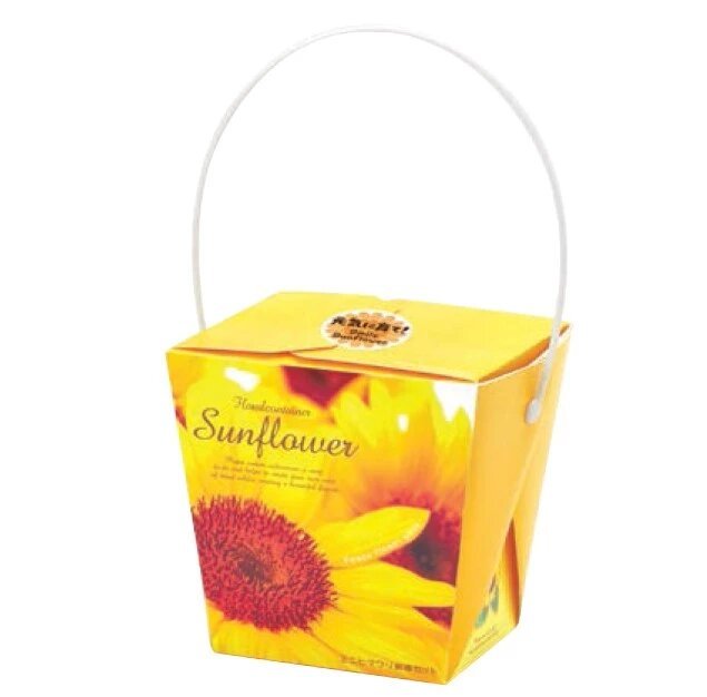 SeiShin GD-434 Floral Container Smile Sunflower (SEI50-SUN-PLT) - BUYFRIENDLY
