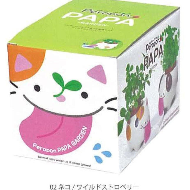 SeiShin GD-66902 Peroppon PAPA - Cat Wild Strawbetty (SEI41-CAT-PLT) - BUYFRIENDLY