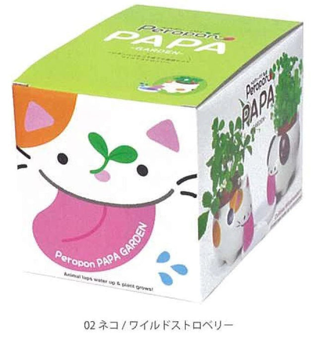 SeiShin GD-66902 Peroppon PAPA - Cat Wild Strawbetty (SEI41-CAT-PLT) - BUYFRIENDLY