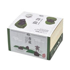 SeiShin GD-719 Moss Garden - KOKE BON (SEI90-MOS-719) - BUYFRIENDLY