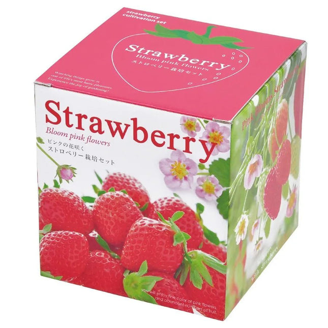 SeiShin GD-796 Strawberry Bloom pink flowers (SEI56-STW-796) - BUYFRIENDLY