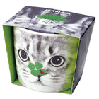 SeiShin GD-858-02 HANA & Animals - Cat/Clover (SEI62-CAT-PLT) - BUYFRIENDLY