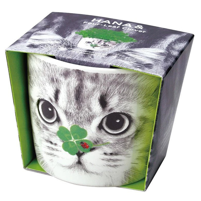 SeiShin GD-858-02 HANA & Animals - Cat/Clover (SEI62-CAT-PLT) - BUYFRIENDLY