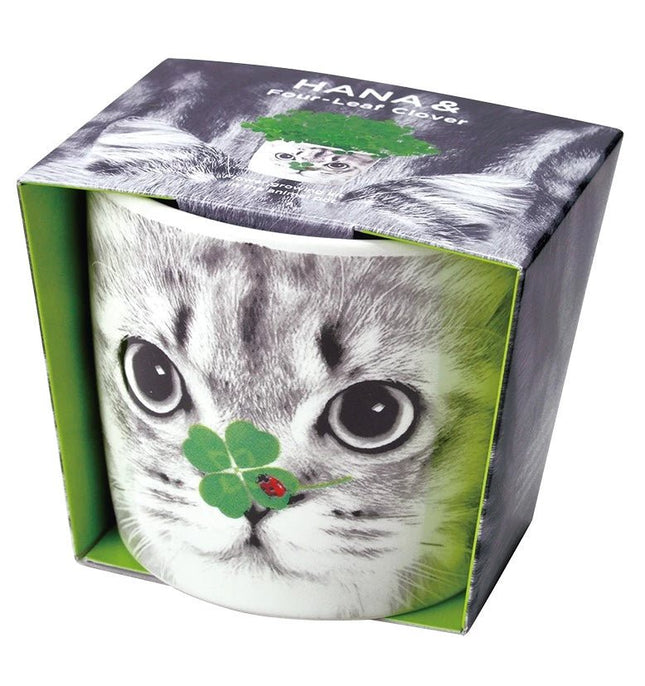 SeiShin GD-858-02 HANA & Animals - Cat/Clover (SEI62-CAT-PLT) - BUYFRIENDLY