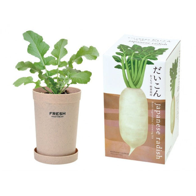 SeiShin GD-891-01 Japanese Radish (SEI69-RAD-89101) - BUYFRIENDLY