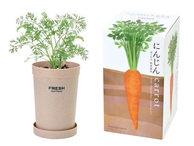 SeiShin GD-891-02 Carrot - Growing kit (SEI69-CAR-89102) - BUYFRIENDLY