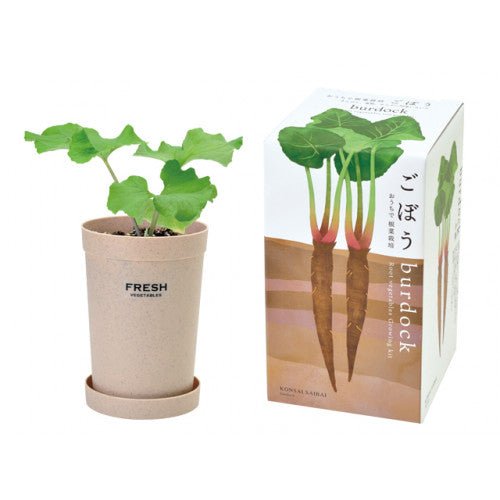 SeiShin GD-891-03 Burdock (SEI69-BUR-89103) - BUYFRIENDLY