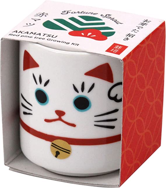 SeiShin GD-91401 Lucky Cat - White (SEI83-WH-91401) - BUYFRIENDLY