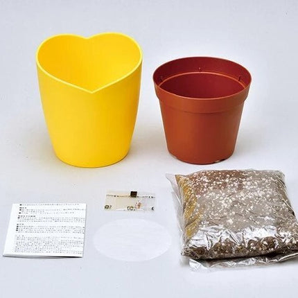 SeiShin GD-923 Yellow Clover (SEI72-YL-796) - BUYFRIENDLY