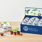 SeiShin GD-926 Blue Capsule - Japanese Spices Grown from Seed (SEI75-WH-926) - BUYFRIENDLY