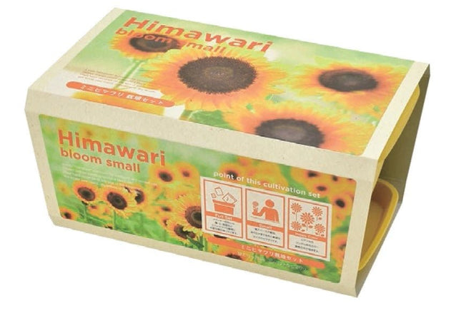 SeiShin GD-93201 MINI HIMAWARI (Sunflower) (SEI80-SUN-93201) - BUYFRIENDLY