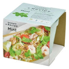 SeiShin GD-95101 + Recipe - Mint (SEI88-MIN-95101) - BUYFRIENDLY