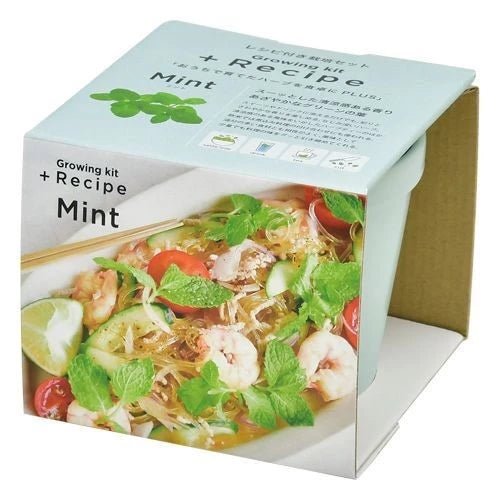 SeiShin GD-95101 + Recipe - Mint (SEI88-MIN-95101) - BUYFRIENDLY