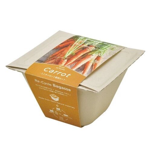 SeiShin GD-95302 BAGASS GREEN ECO - Carrot (SEI89-CAR-95302) - BUYFRIENDLY