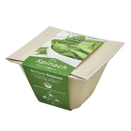 SeiShin GD-95304 BAGASS GREEN ECO - Spinach (SEI89-SPI-95304) - BUYFRIENDLY