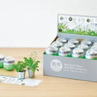 SeiShin GD-978 Grey Capsule - Weed Collention (SEI75-GY-978) - BUYFRIENDLY