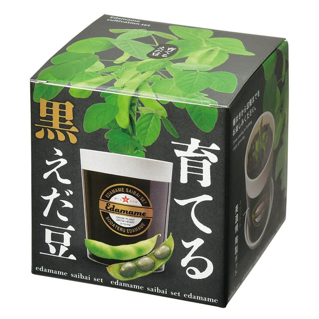 SeiShin GD-979 Black Edamame (SEI24B-EDA-PLT) - BUYFRIENDLY