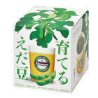 SeiShin GD-979 Edamame (SEI24A-EDA-PLT) - BUYFRIENDLY