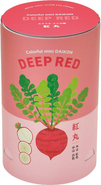SeiShin 自家培植盆栽 - 櫻桃蘿蔔 (GD-994-03) - BUYFRIENDLY