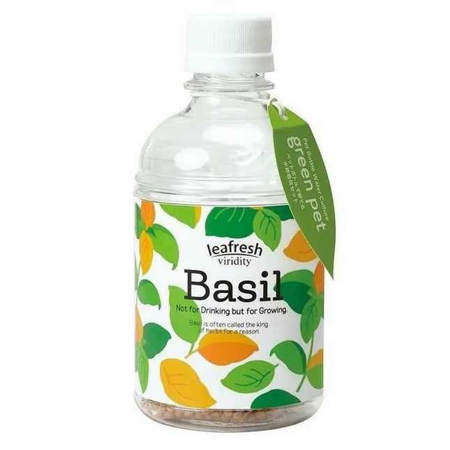 SeiShin Green Pet Herb - Basil (GD-863-02) - BUYFRIENDLY