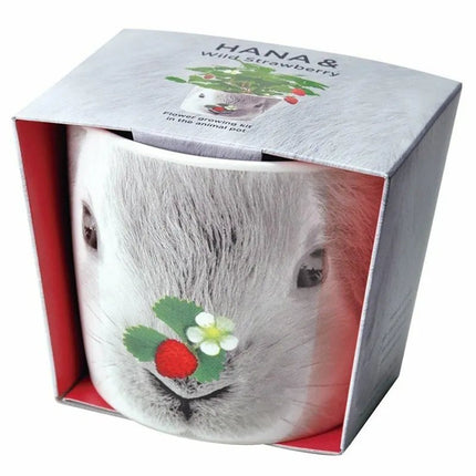 SeiShin HANA & Animals - Rabbit/Wild Strawberry (GD-858-01) - BUYFRIENDLY
